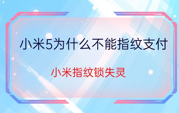 小米5为什么不能指纹支付 小米指纹锁失灵？